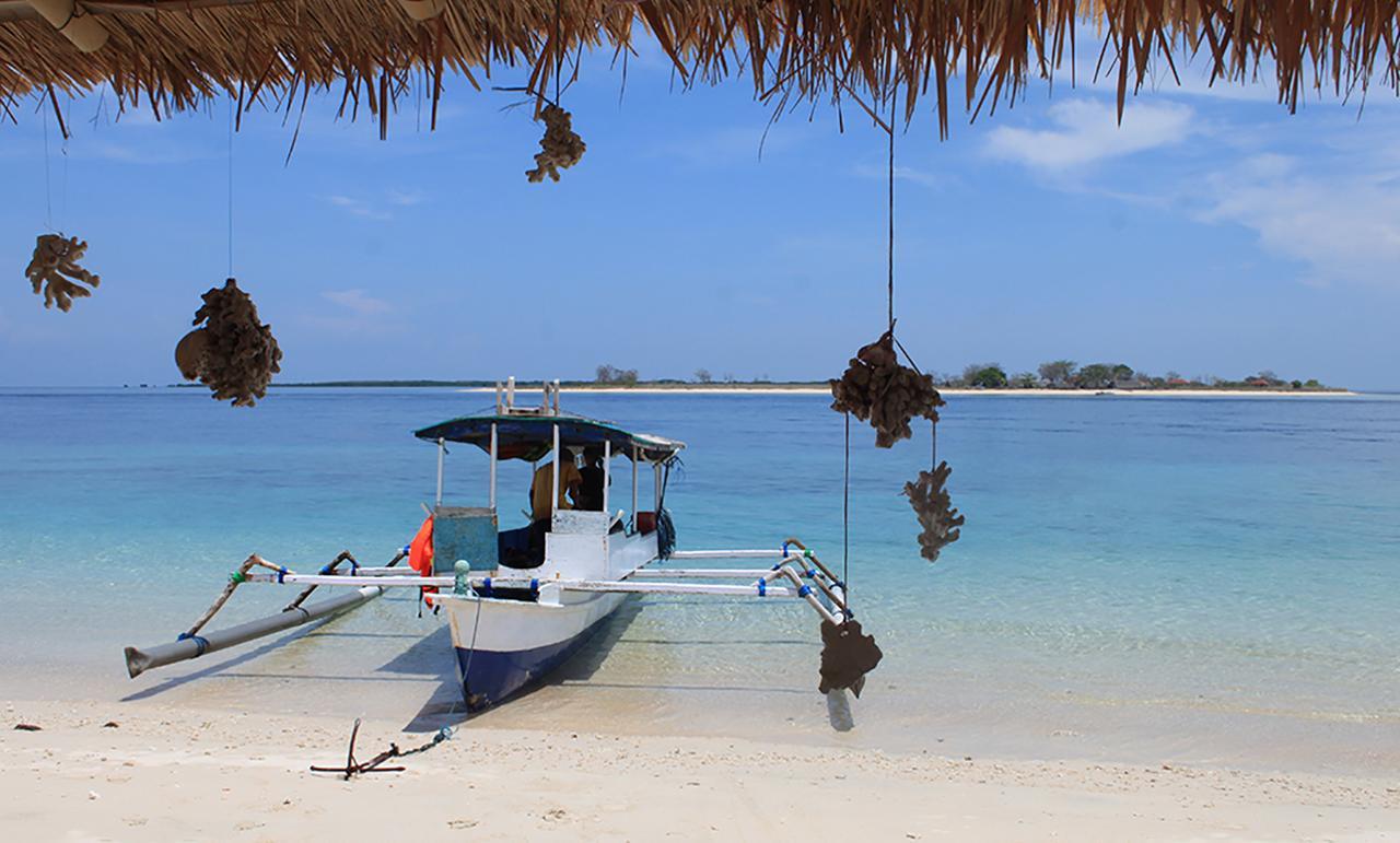 East Lombok Dive Hotel - 3 Private Rooms On The Beach With Seaview & Scuba Diving Center Labuhan Pandan Zewnętrze zdjęcie