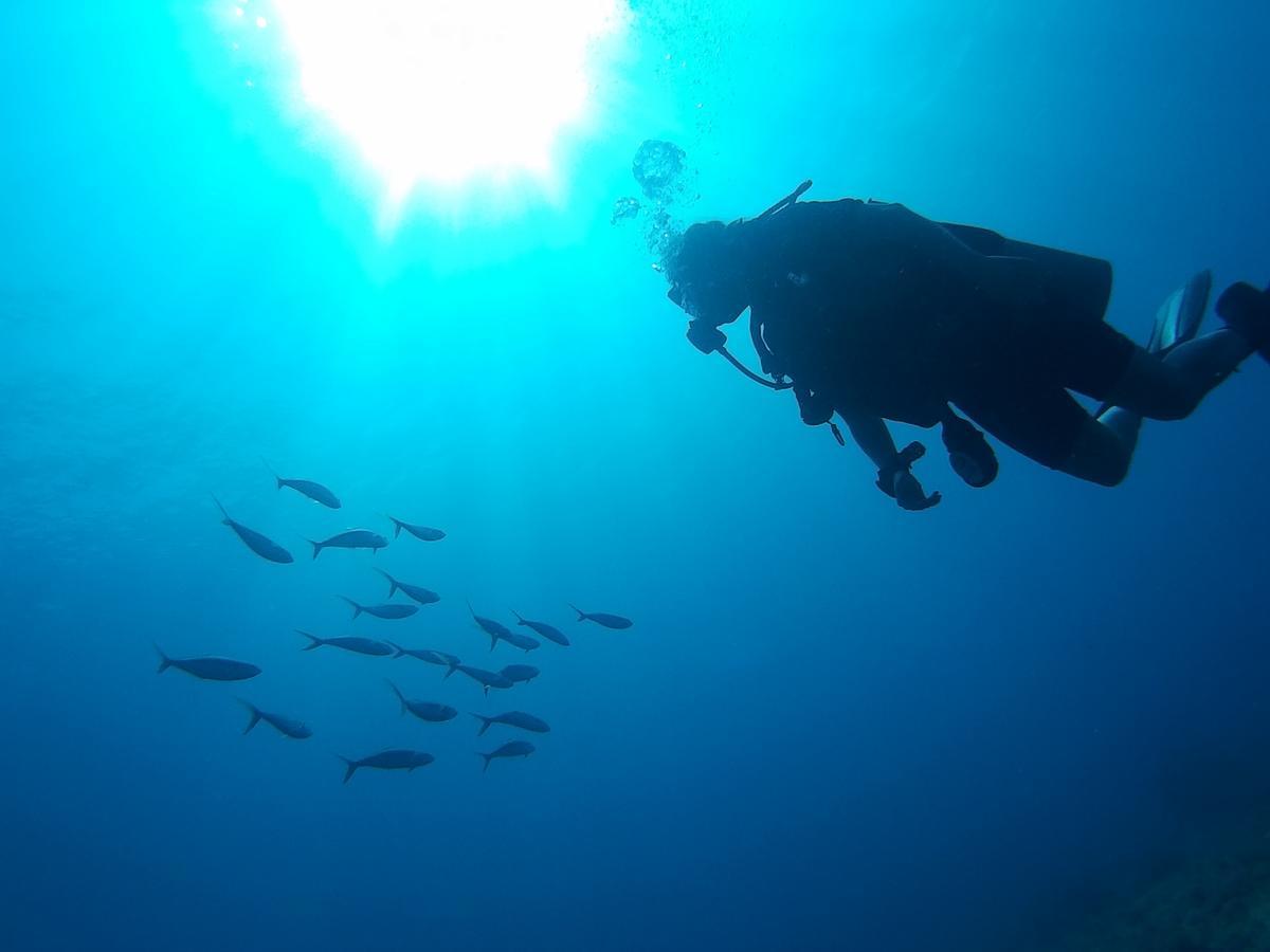 East Lombok Dive Hotel - 3 Private Rooms On The Beach With Seaview & Scuba Diving Center Labuhan Pandan Zewnętrze zdjęcie